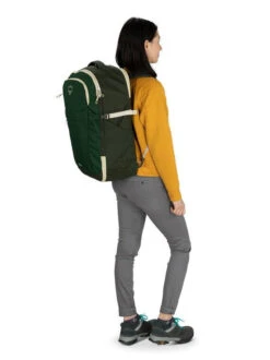 Osprey Daylite Carry-On Travel Pack 44L 24 Osprey Daylite Carry-On Travel Pack 44L -Osprey Shop 7cc935 e73a879860694719929fd9b43428315amv2 1