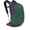 Daylite Plus -Osprey Shop dayltpluss21 f22 side axogreenenchantmentpurple 1